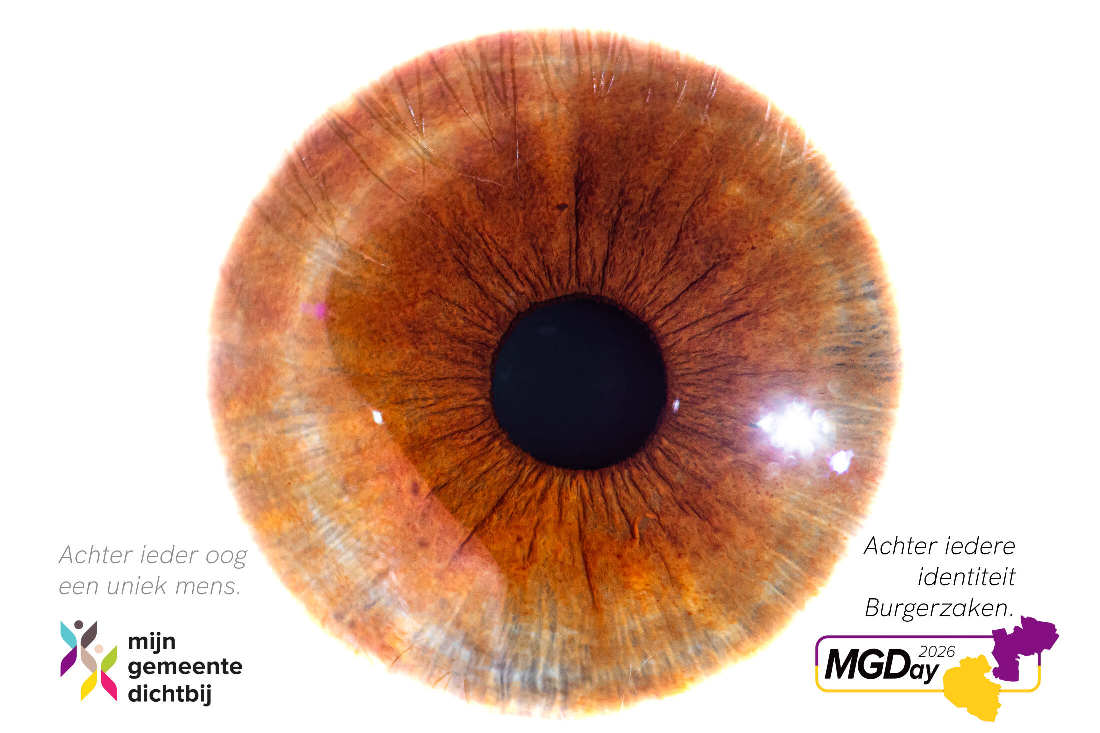 2026-10 MGD